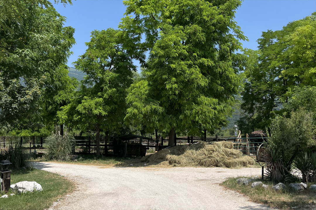 Dormire vicino Piancavallo