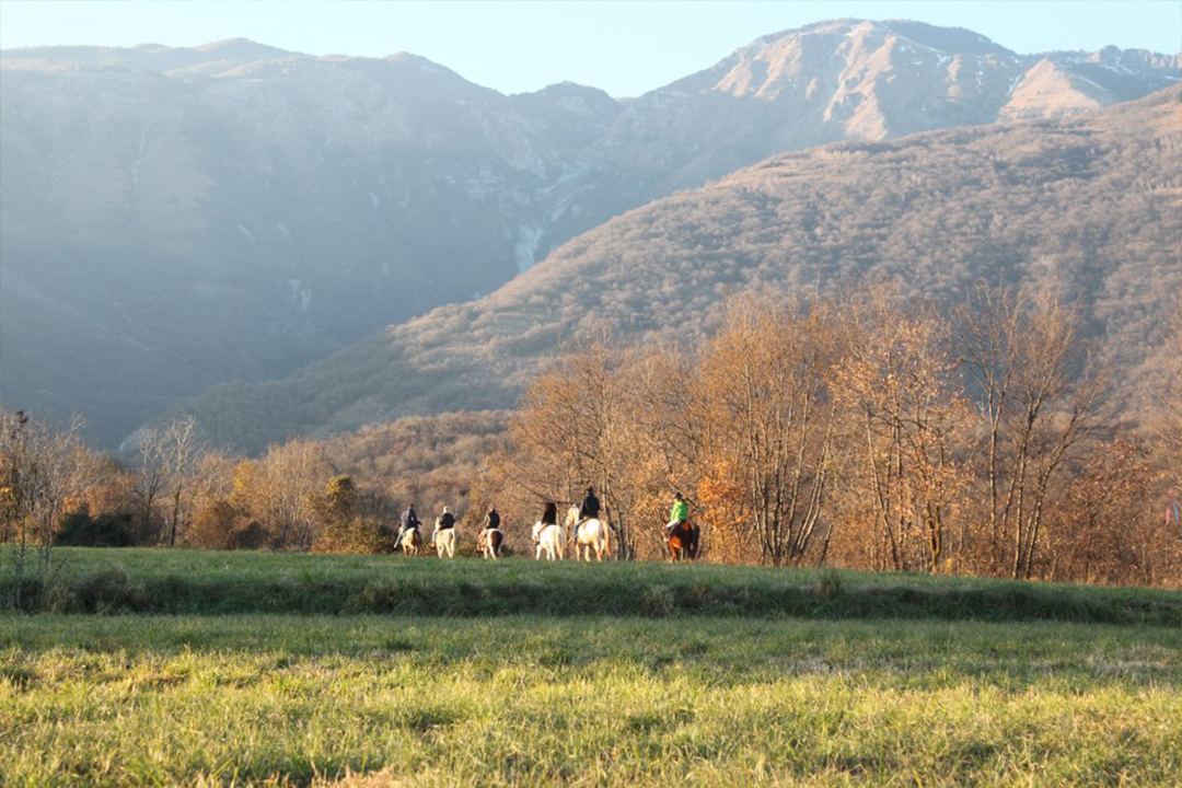 Alloggi pedemontana Friulana