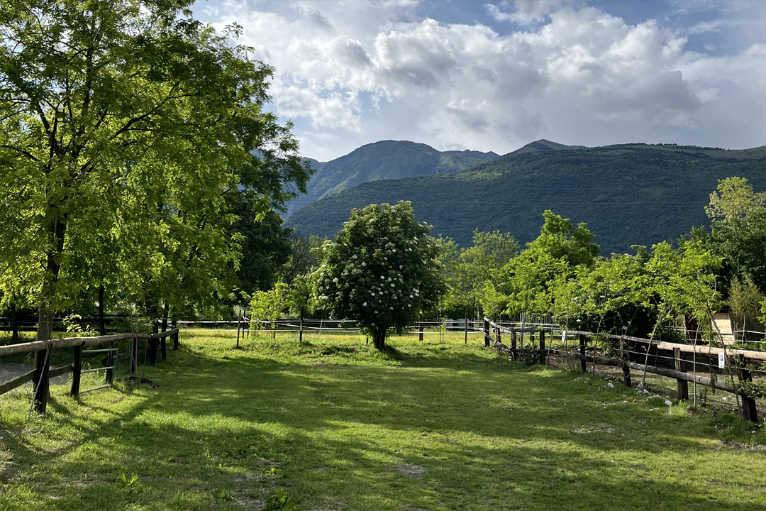 Agriturismo Aviano